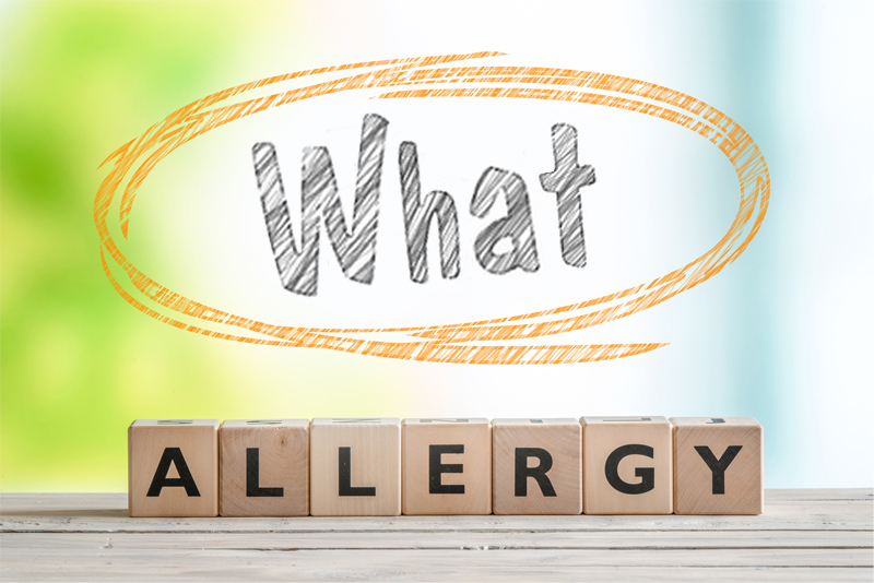 what_allergy001